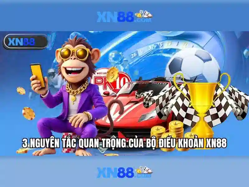 Giới thiệu về xn88