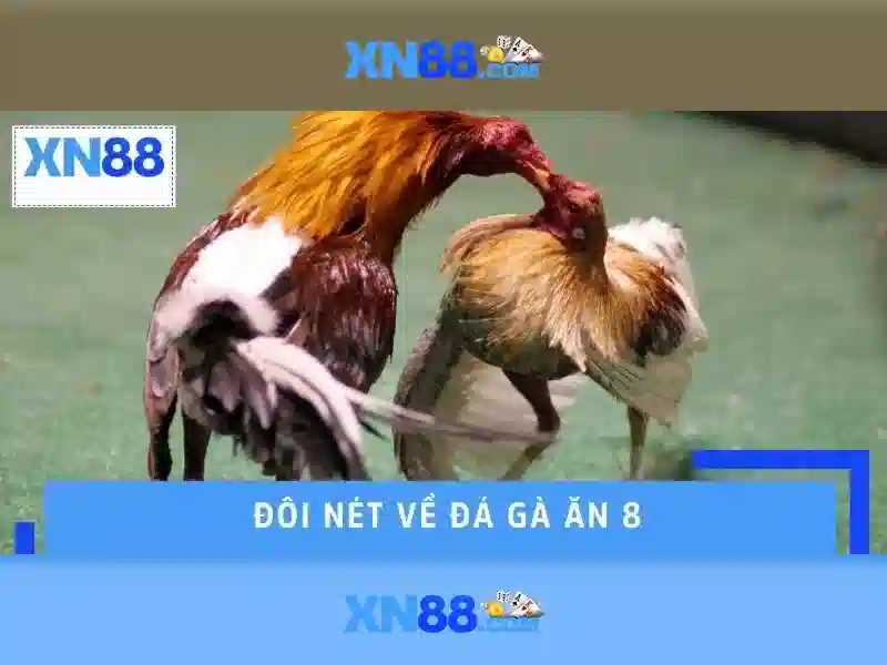 Giới thiệu về xn88