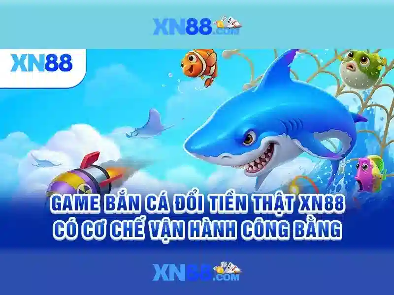 Nền tảng và sản phẩm