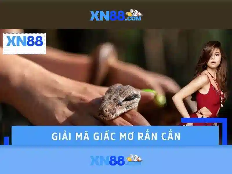 xn88 – Chủ đề tổng quan và giá trị cốt lõi
