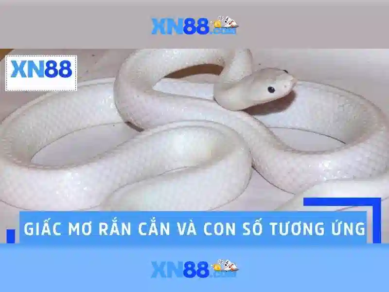 Liên hệ và cộng đồng người chơi