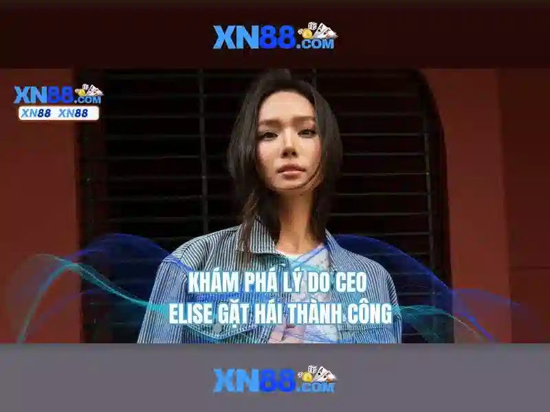 Giới thiệu xn88
