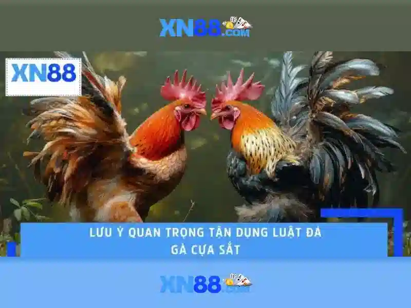 Sản phẩm và dịch vụ trọng tâm: ứng dụng thực tế của xn88 jpn