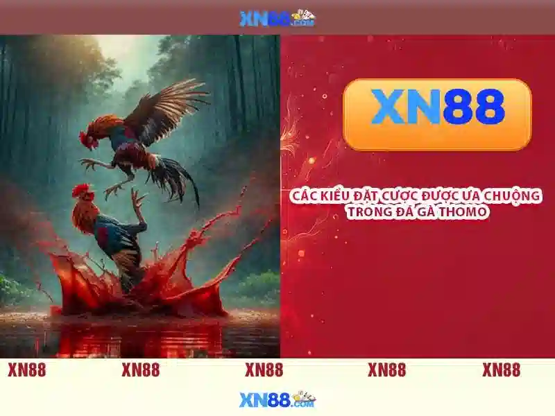 Hỗ trợ khách hàng và cách tham gia
