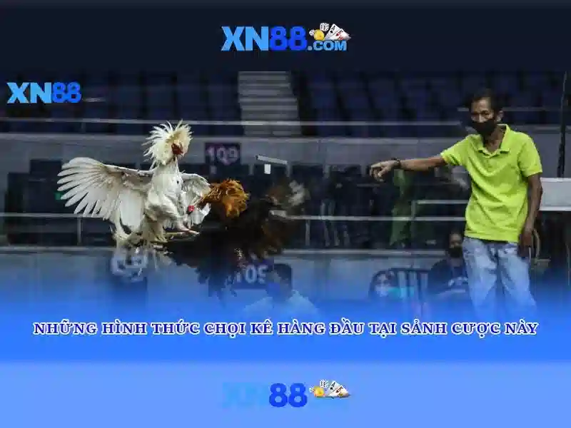 Tính năng nổi bật