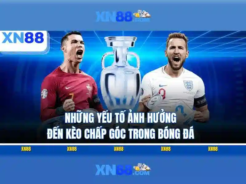 Các dịch vụ nổi bật