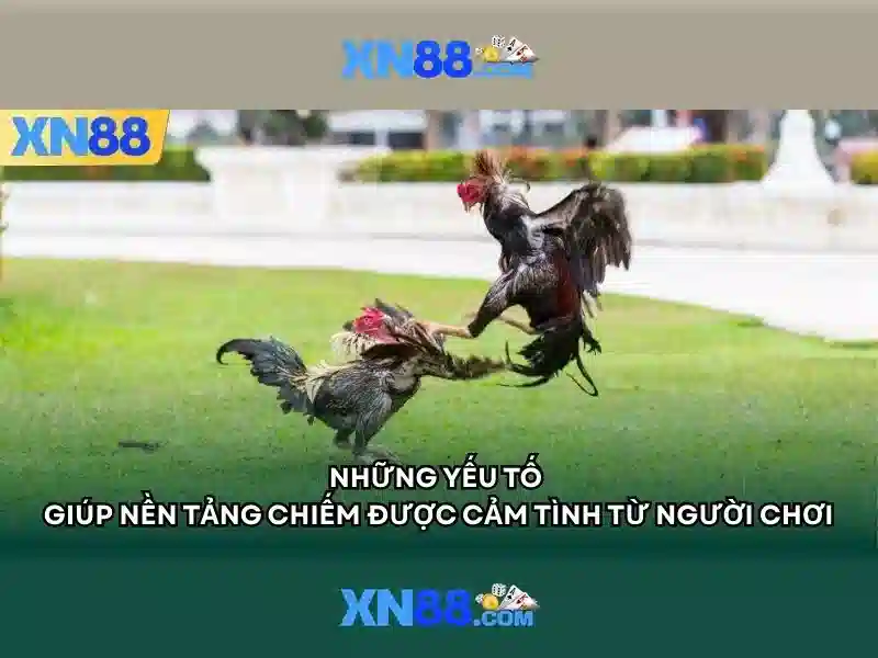 Cách tham gia và đảm bảo an toàn