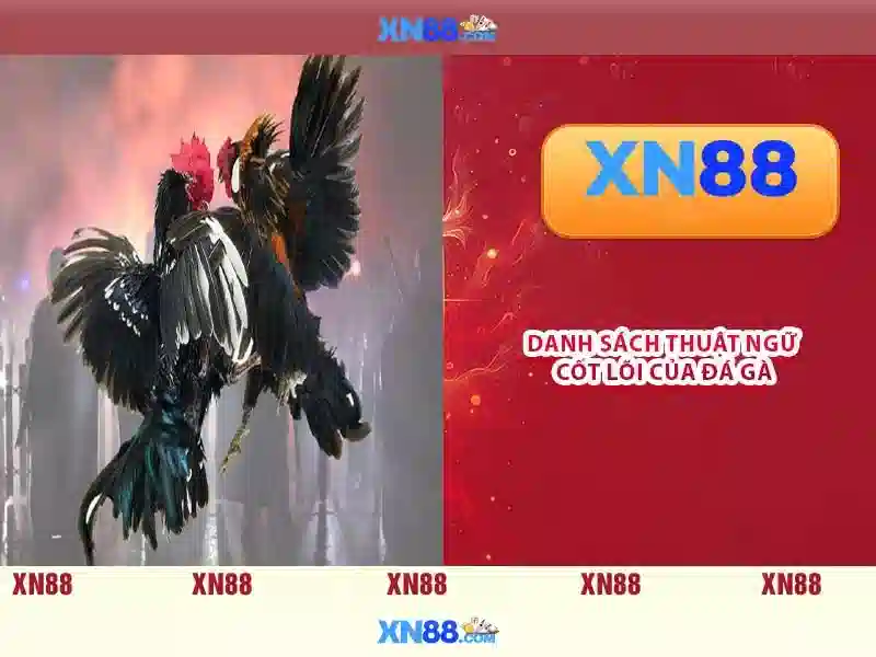 Giới thiệu về xn88