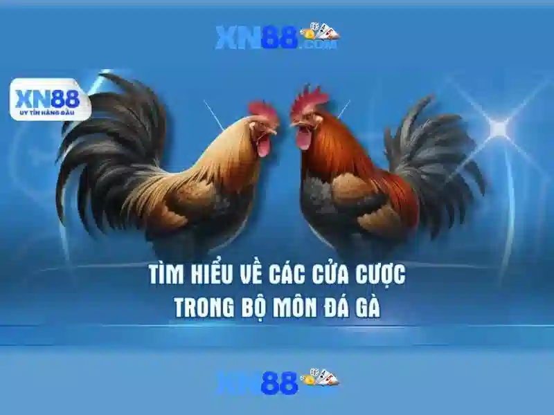 Cách tải xn88 - ảnh minh họa