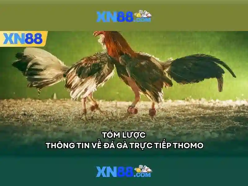 Sản phẩm và dịch vụ chính: ứng dụng https t lý xn88 app