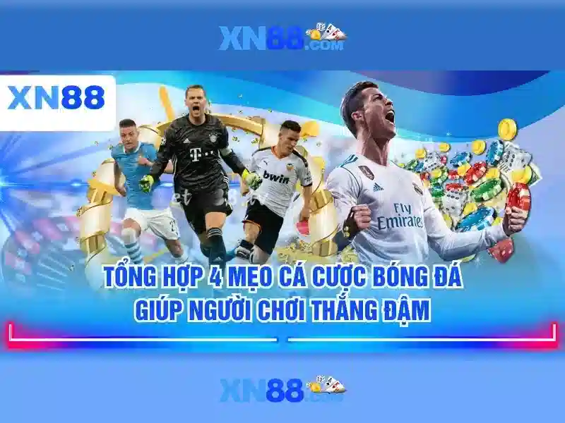 Các sản phẩm và dịch vụ của xn88