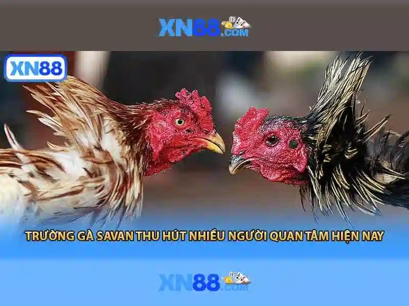 Lưu ý và thách thức\n<h>Kết luận</h>\n<p><span style=