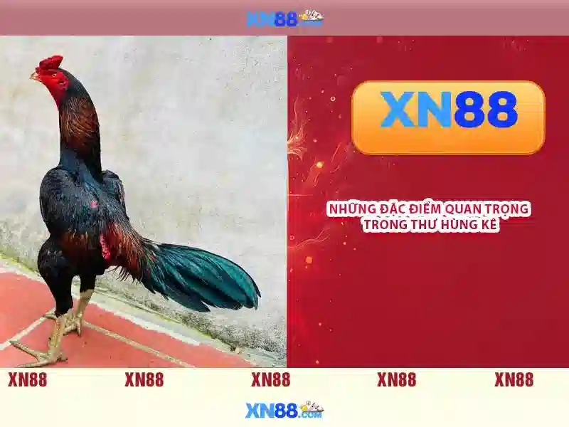 Cung cấp trò chơi và dịch vụ