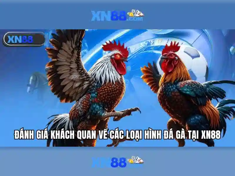 Giới thiệu về xn88