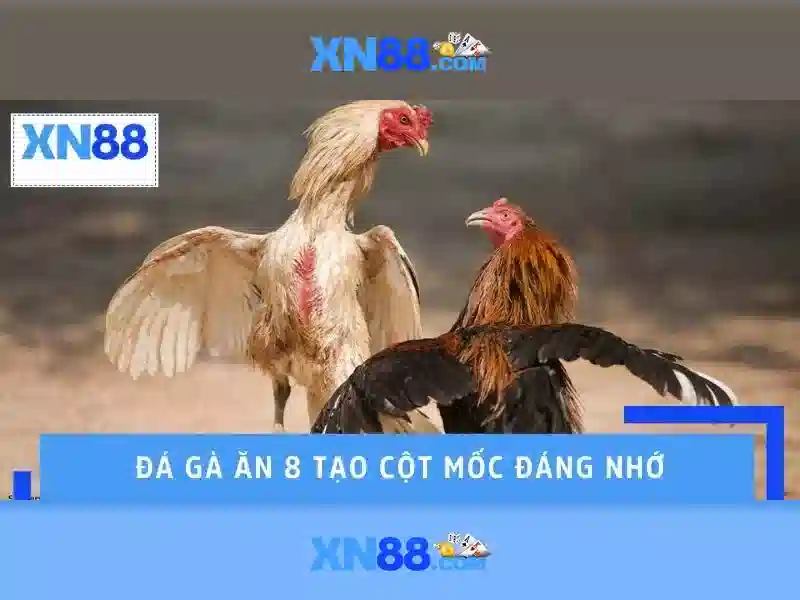 Hướng dẫn tham gia và lưu ý pháp lý