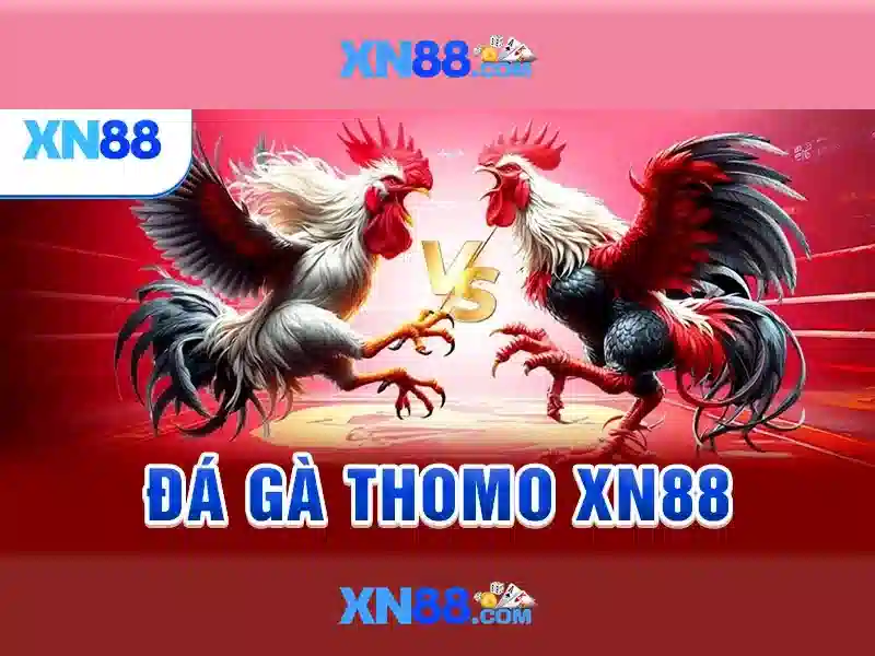 Tính năng nổi bật