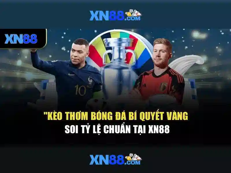 Đánh giá và rủi ro\n\n<h3>An toàn và bảo mật</h3>\n<p><span style=