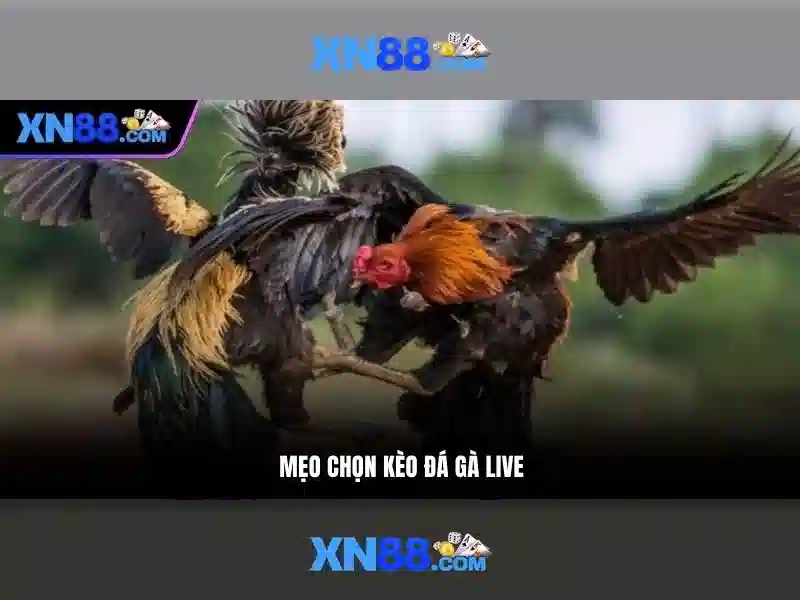 Ứng dụng thực tế của xn88 ios