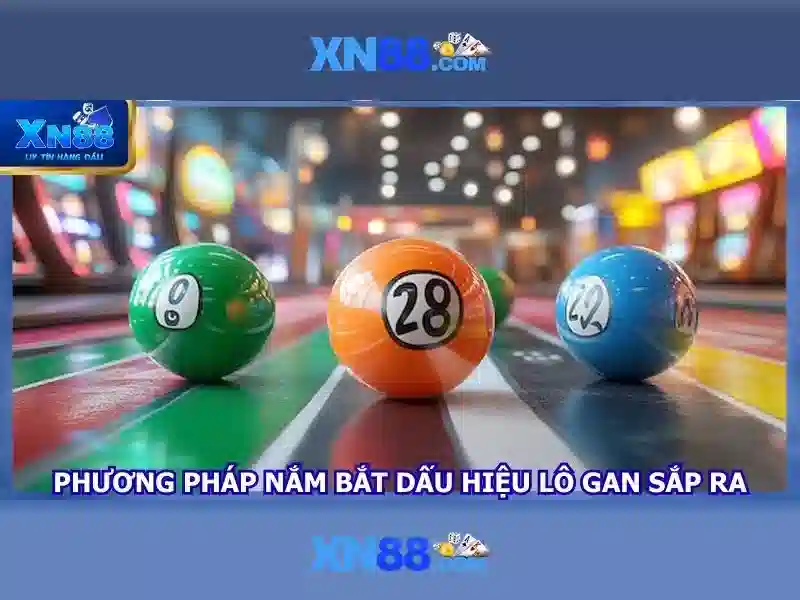 An toàn và quản lý rủi ro