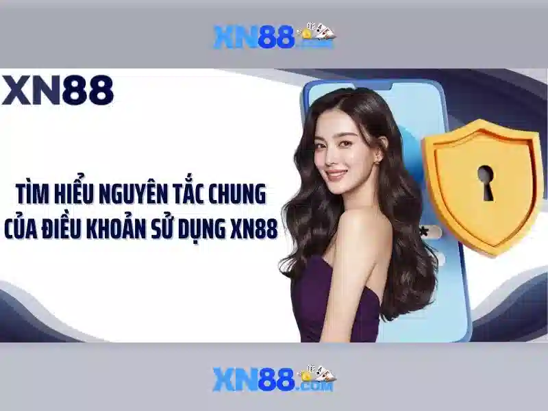 Lưu ý về an toàn và pháp lý