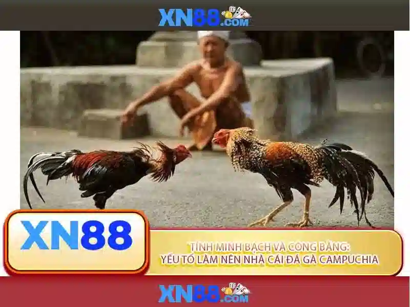 Tính năng và sản phẩm