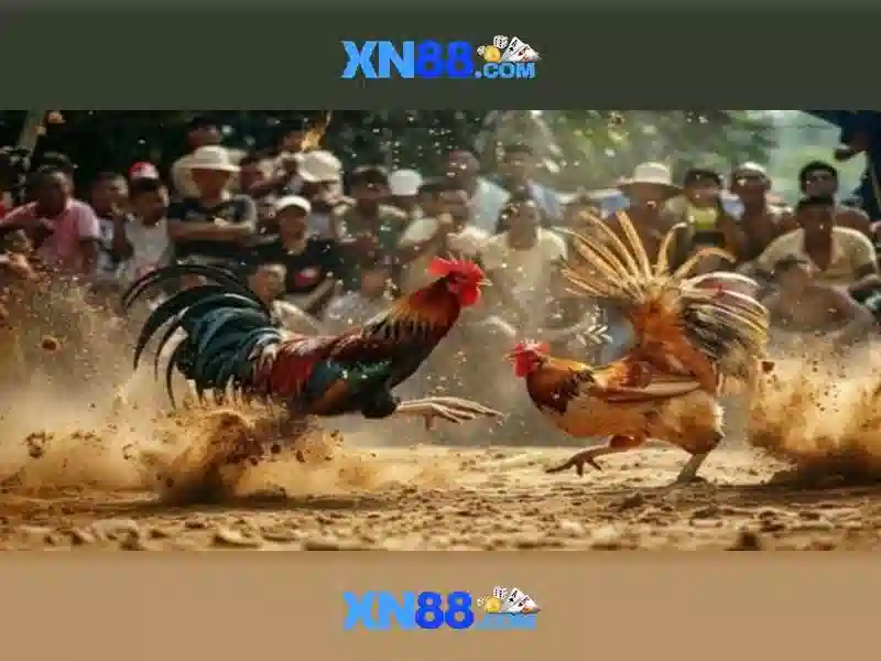 Hỗ trợ khách hàng