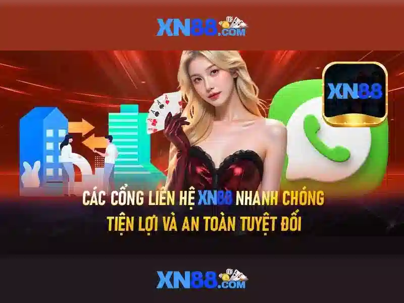 Bảo mật, thanh toán và trải nghiệm người dùng