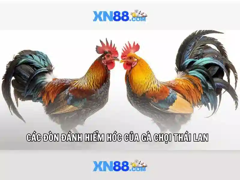 Sản phẩm và dịch vụ