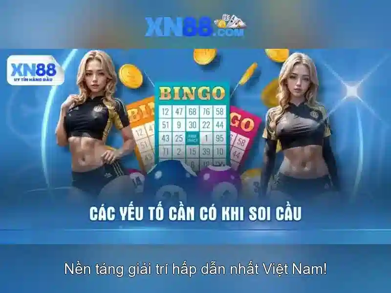 Giới thiệu về xn88
