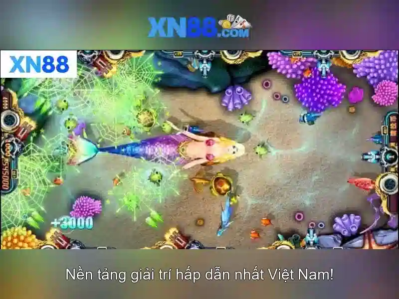 Trải nghiệm người dùng và hỗ trợ\n<p><span style=