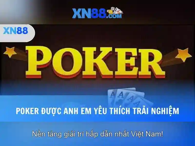 Lĩnh vực hoạt động