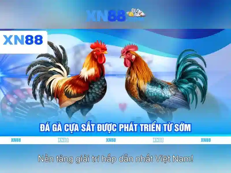 Lịch sử và nguồn gốc