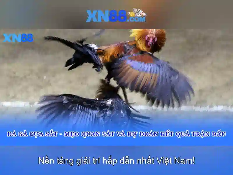 An toàn và bảo mật
