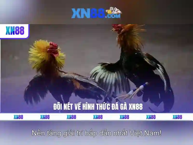 Tổng quan về xn88