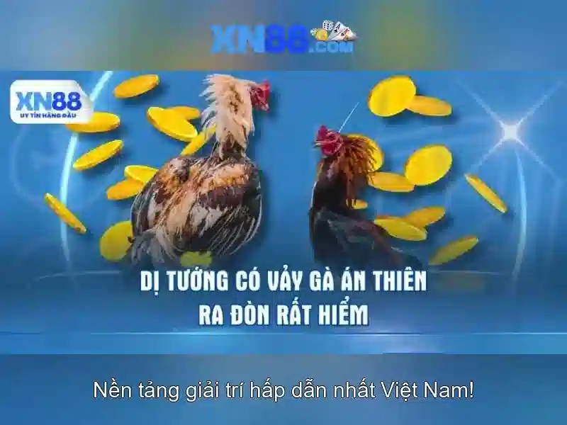 Xn88 là gì và tại sao nó được quan tâm trong công nghệ số