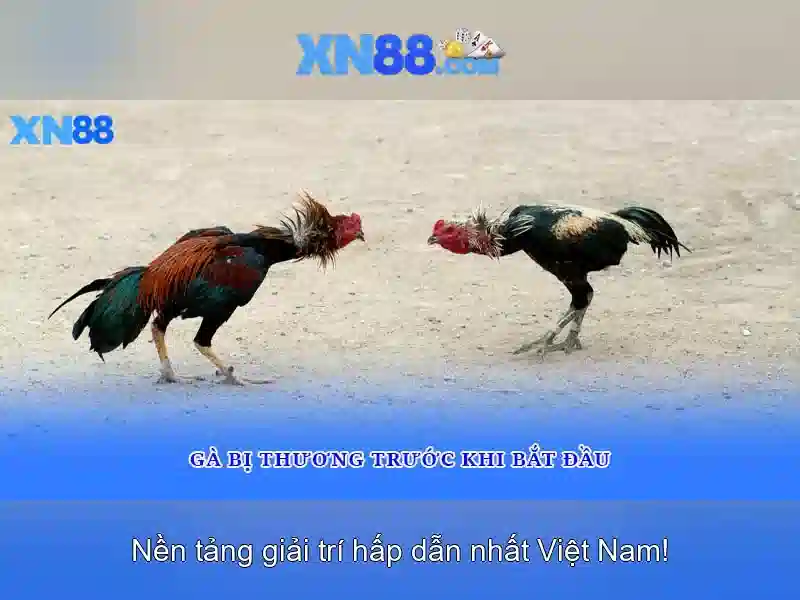 Kết luận