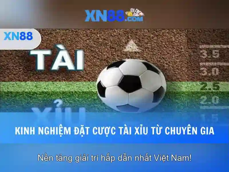 Giới thiệu xn88