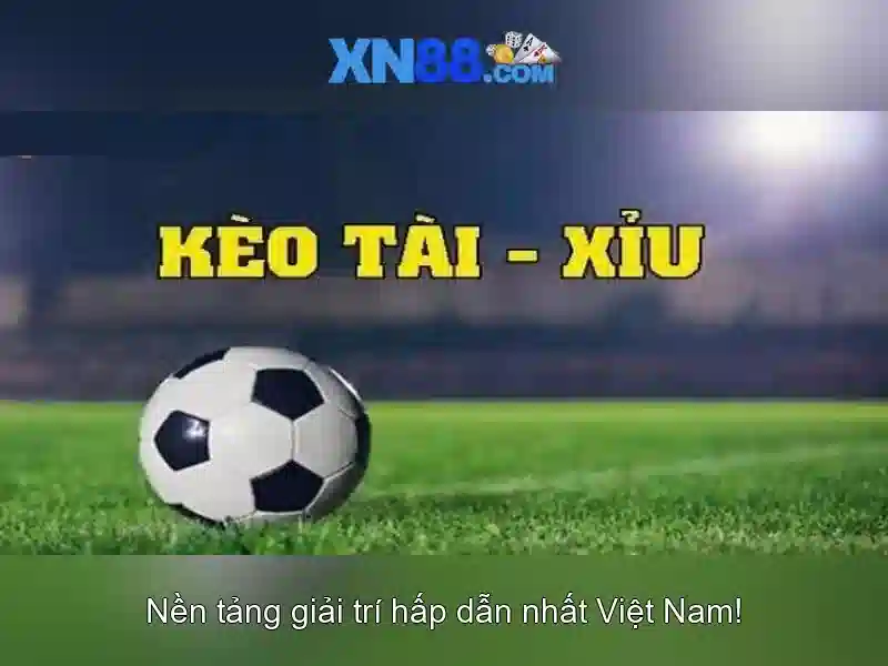 Cách đánh giá trang web và mẹo an toàn khi chơi giải trí trực tuyến\n<h>Lời kết và khuyến nghị cho người chơi mới</h>\n<p><span style=
