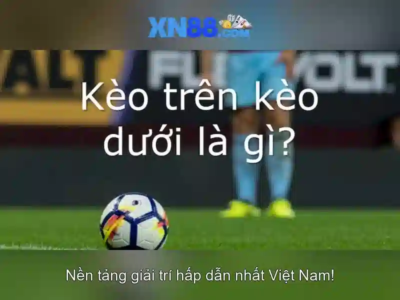 Giao diện và trải nghiệm người dùng