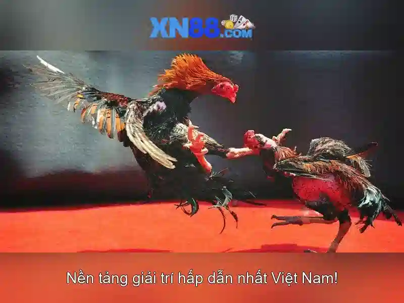 Cách hoạt động và các trò chơi có sẵn