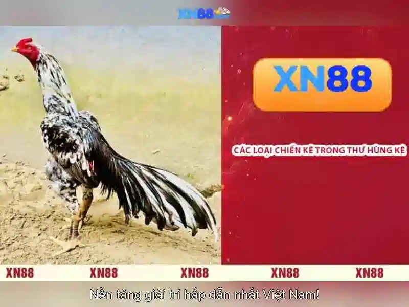 Cách hoạt động của XN88
