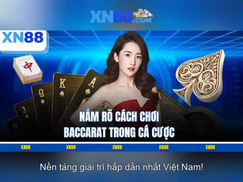 Các tính năng chính