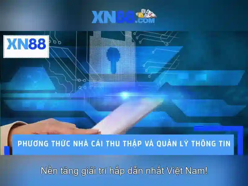 Ứng dụng hiện tại và triển vọng tương lai của xn88