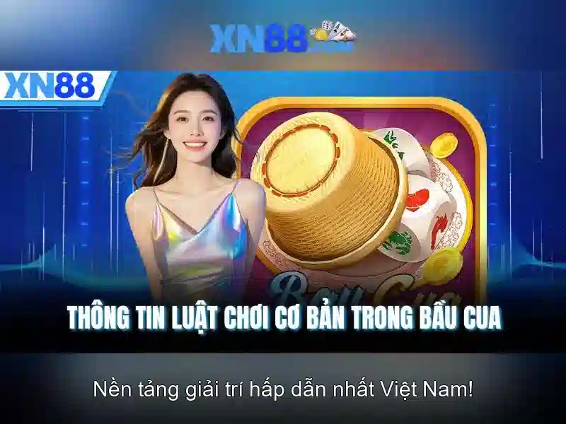 Trải nghiệm người dùng và phản hồi cộng đồng