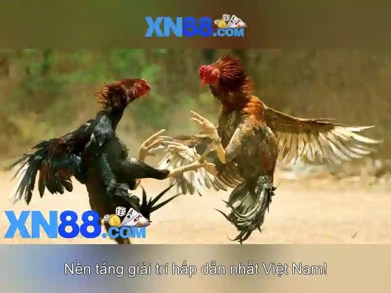 Khuyến mãi và cách đăng ký