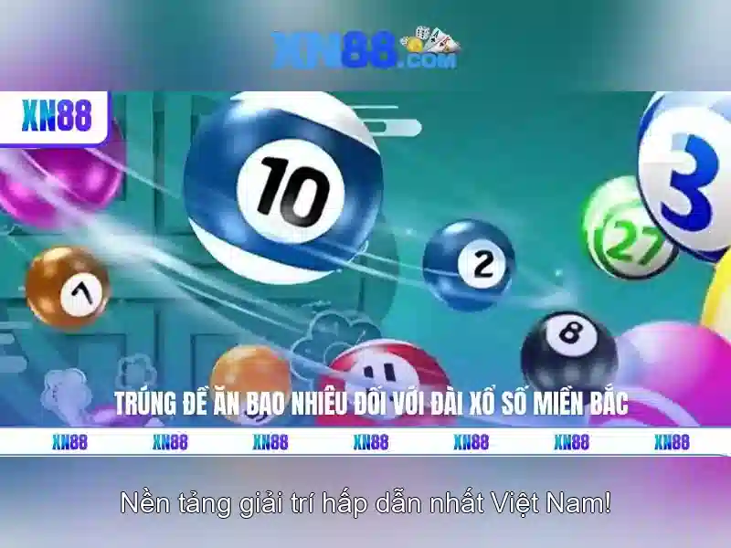 Hướng dẫn tham gia và thanh toán