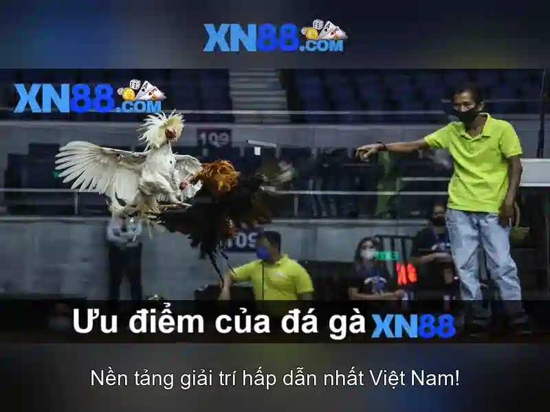 Các trò chơi phổ biến trên xn88