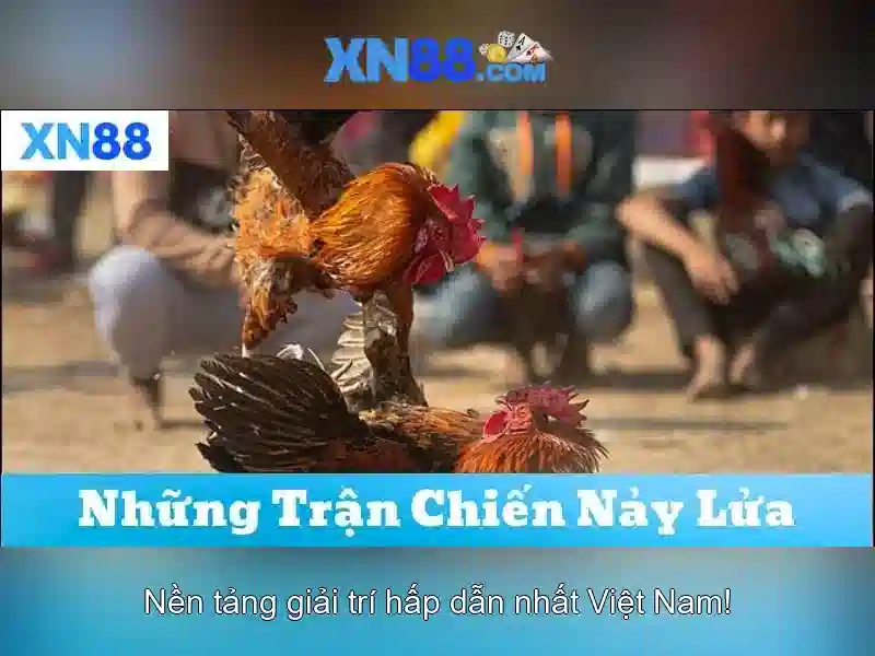xn88 là gì và tại sao nó được quan tâm