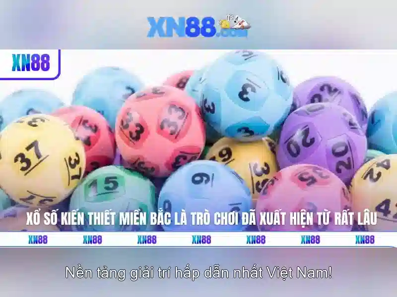 Khái niệm về XN88