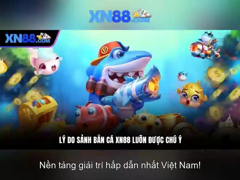 Thanh toán và hỗ trợ khách hàng